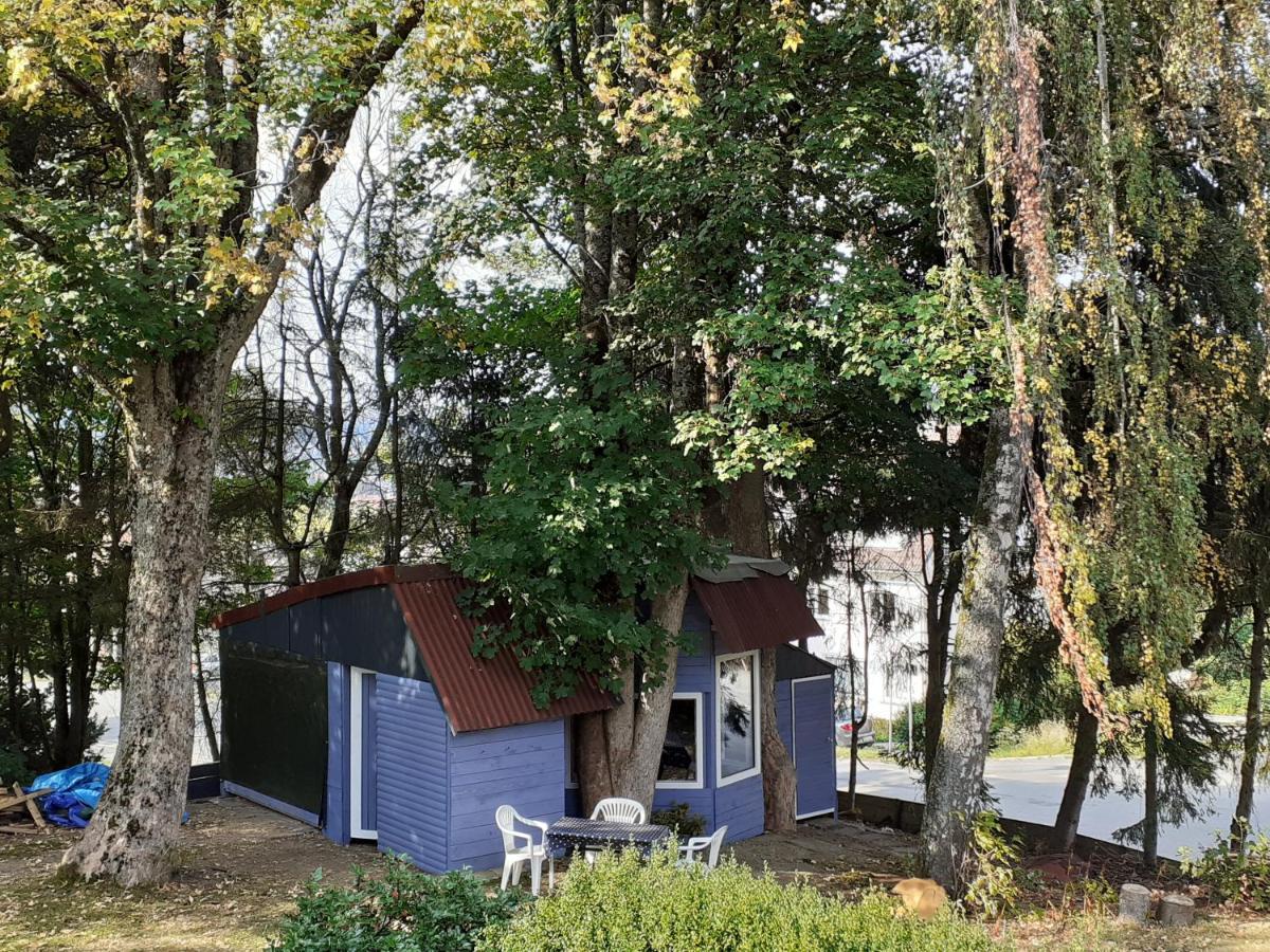 בראונלאגה Villa Tannerhof מראה חיצוני תמונה